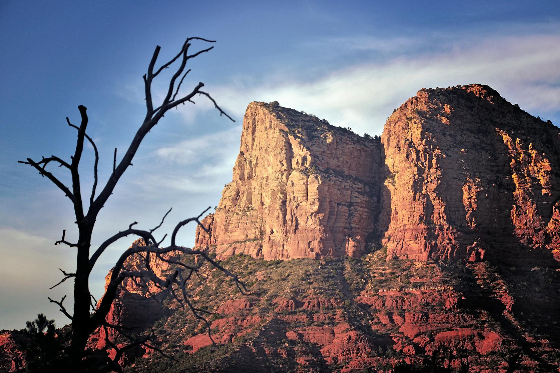 Today's Development — Arizona Becomes First State to Settle Individually