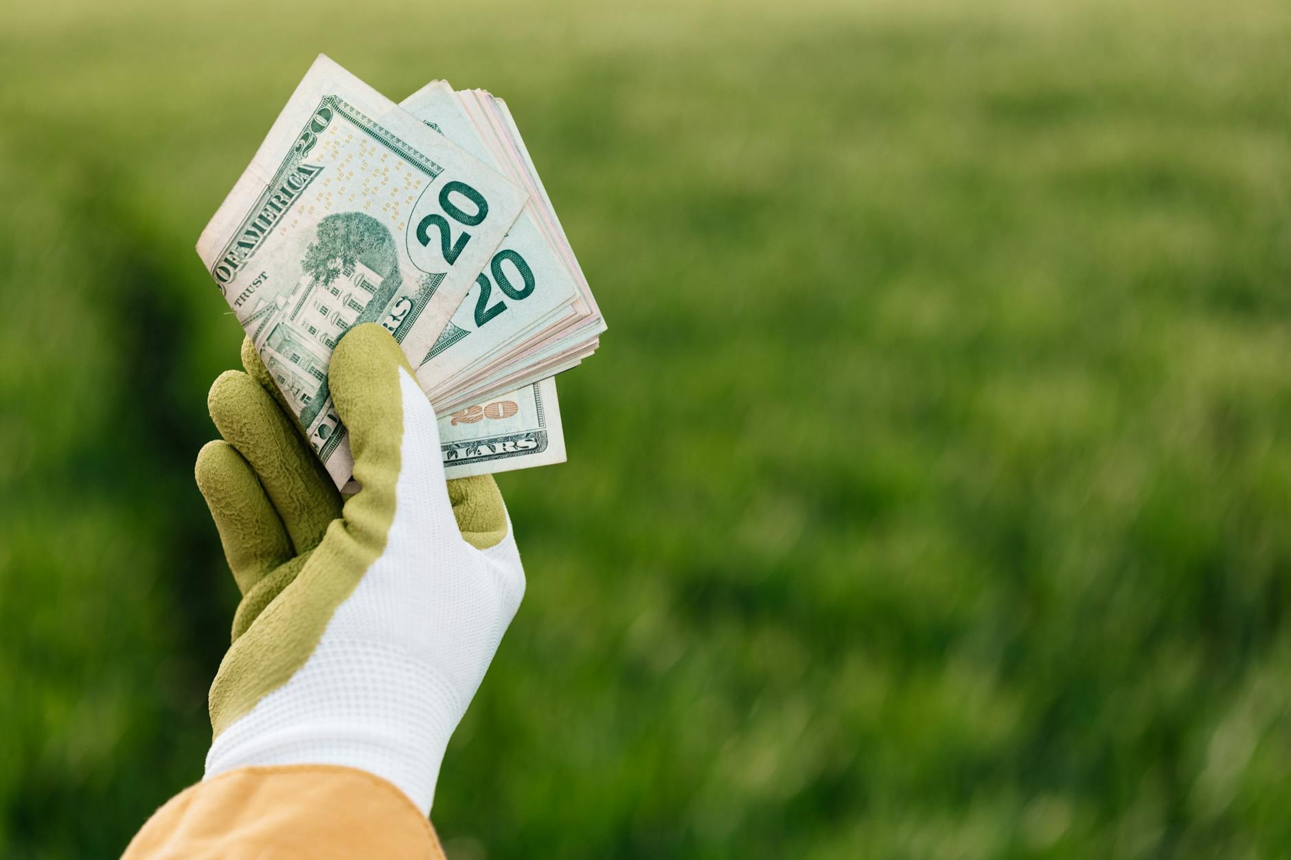 Where the $750,000 Actually Goes