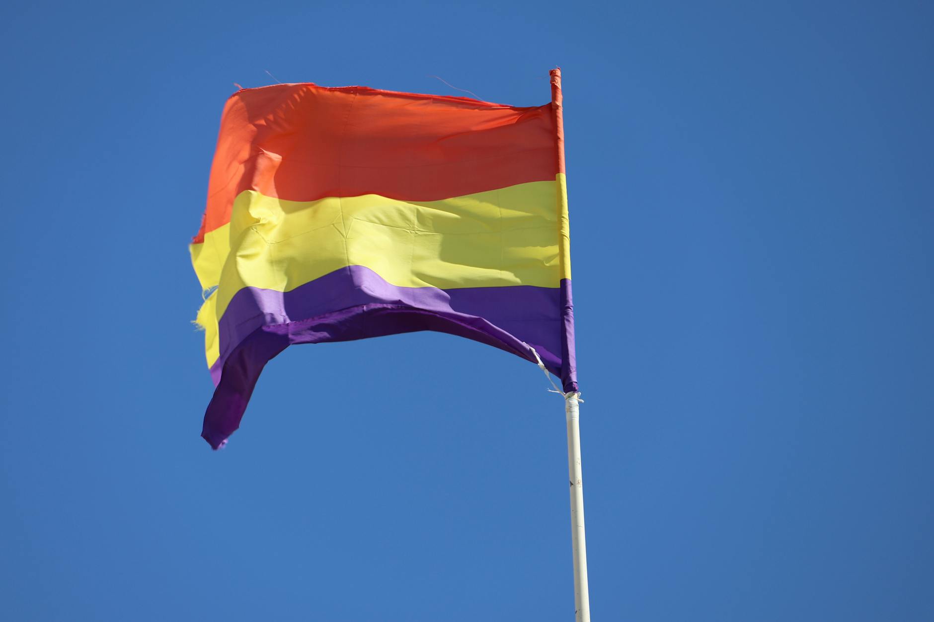 Flag State Discrimination and the Hidden Costs of Allied Shipping