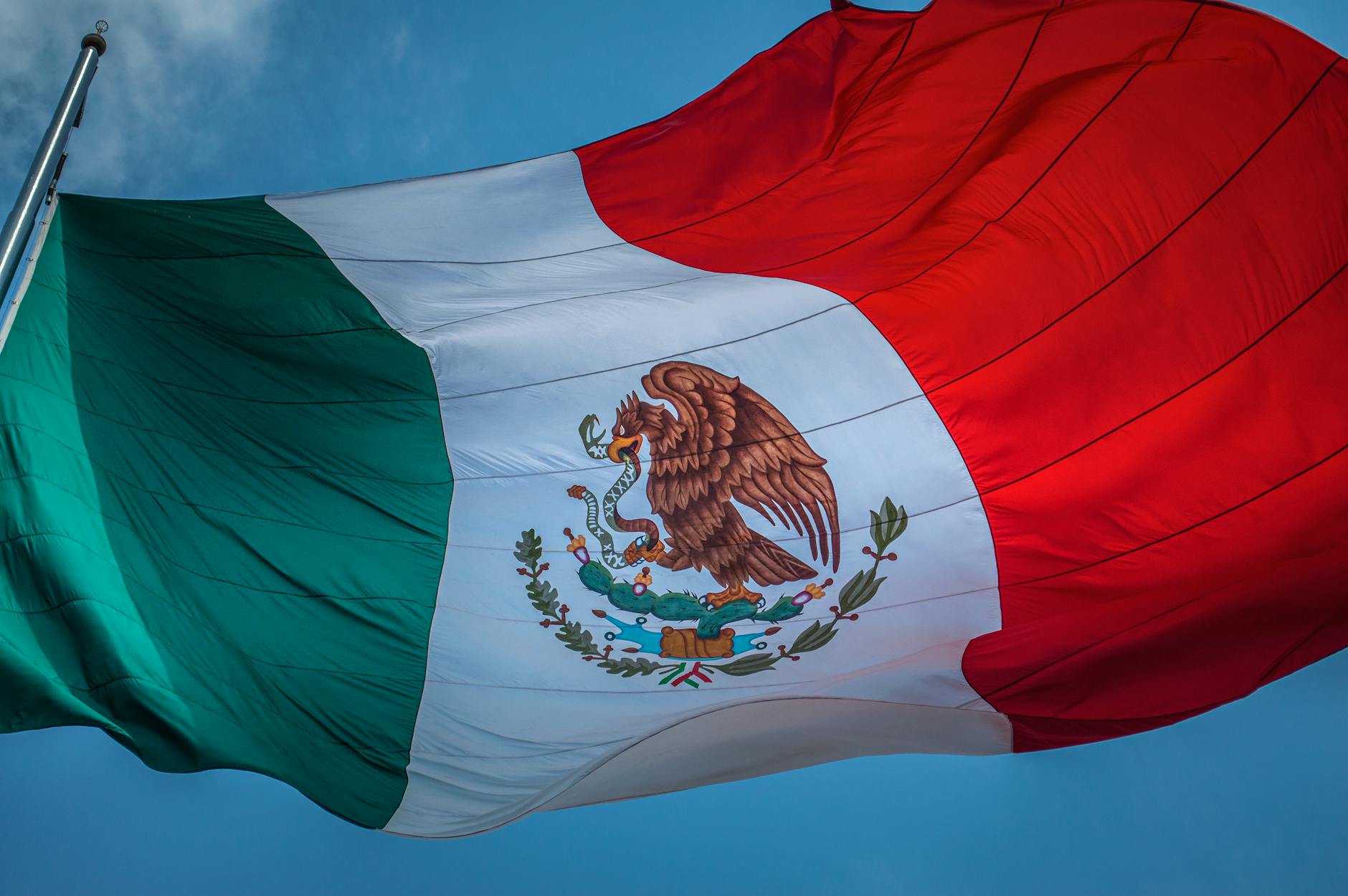 How Did Mexico's Cartel Respond After El Mencho's Death, and How Many Were Killed?