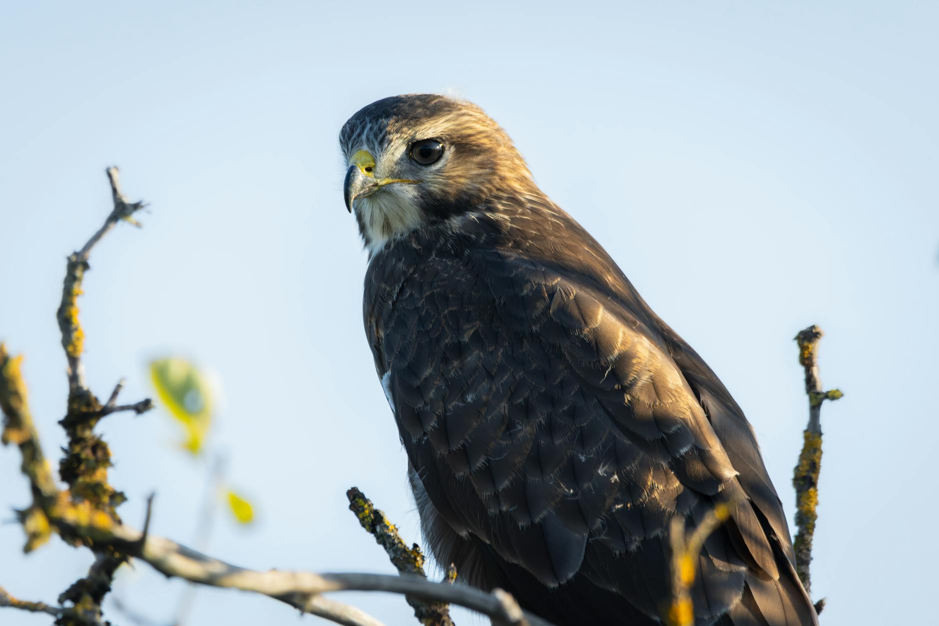 How Did the Hawk Tuah Girl's Crypto Coin Crash 90% So Fast?
