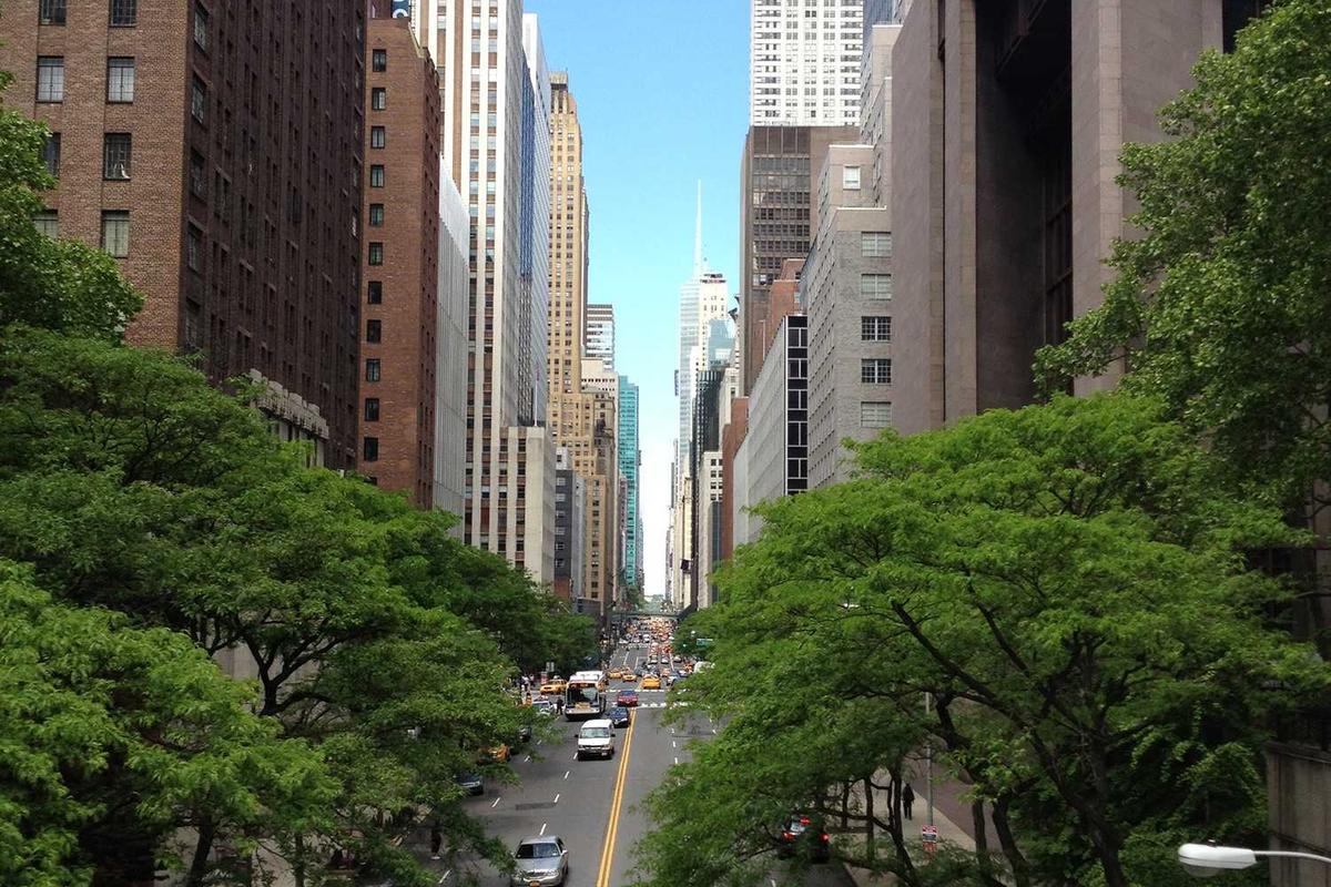 How Transparent Was the Use of Donor Funds for Legal Fees?