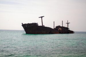Persian Gulf Marine Life Threatened by Naval Warfare, Debris, and Fuel Spills - Featured image