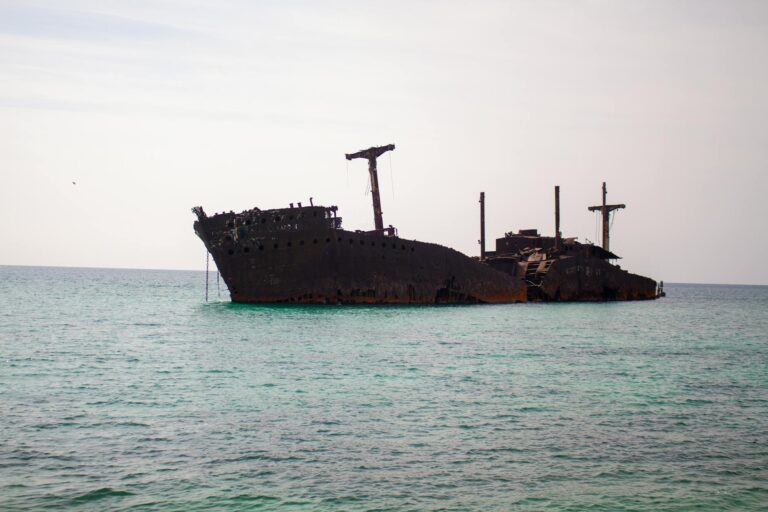 Persian Gulf Marine Life Threatened by Naval Warfare, Debris, and Fuel Spills - Featured image