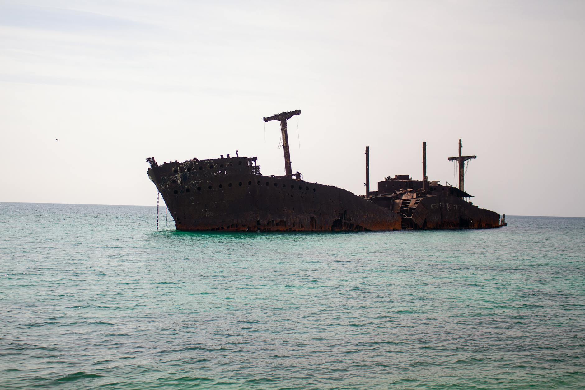Persian Gulf Marine Life Threatened by Naval Warfare, Debris, and Fuel Spills - Featured image