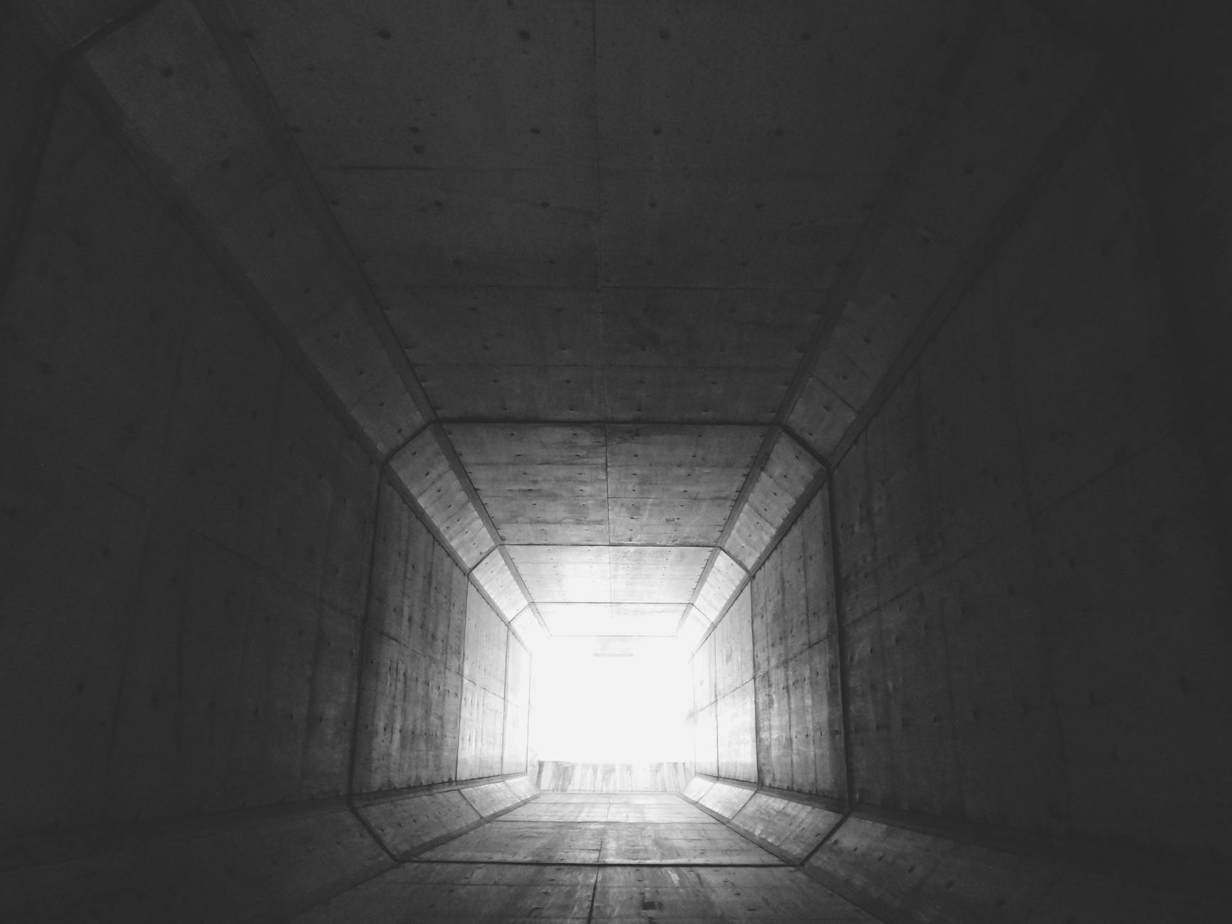 The Border Tunnel Problem and Homeland Security Challenges