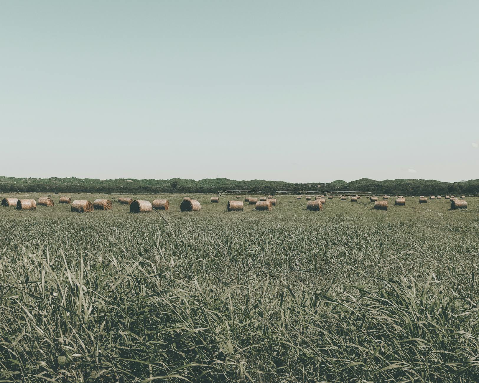 The Kansas Precedent and Why Courts Have Blocked Similar Laws