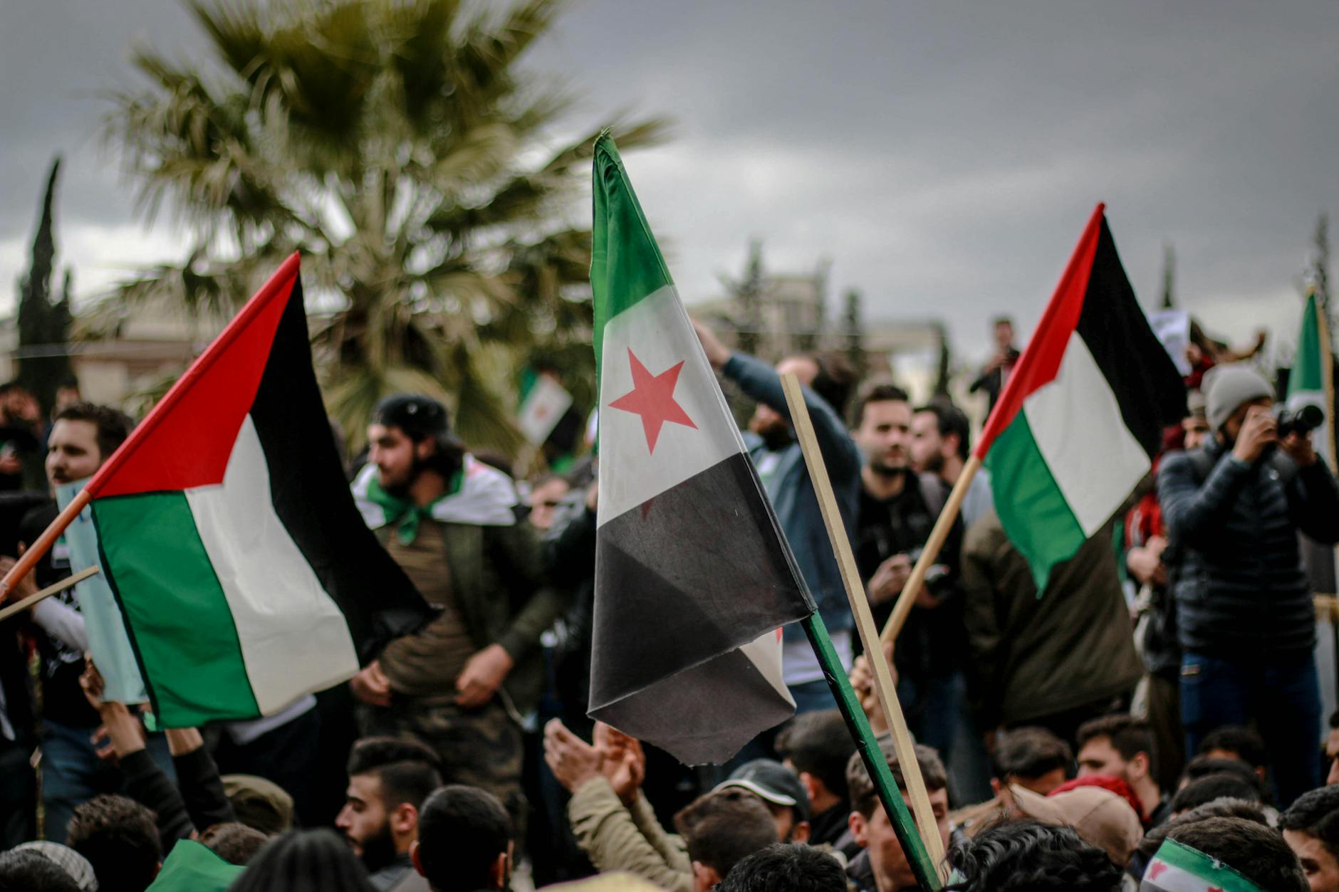 The Largest Diaspora Mobilization in History