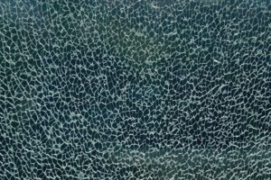The Proxy Network — Damaged but Not Dead