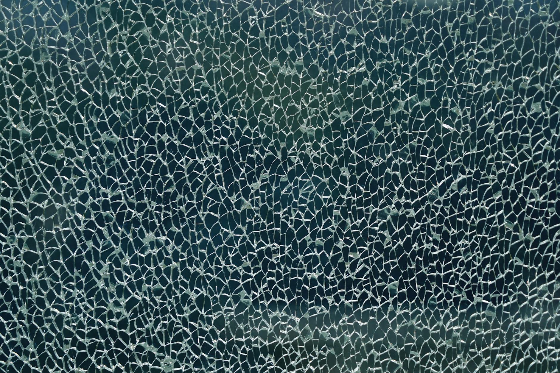 The Proxy Network — Damaged but Not Dead