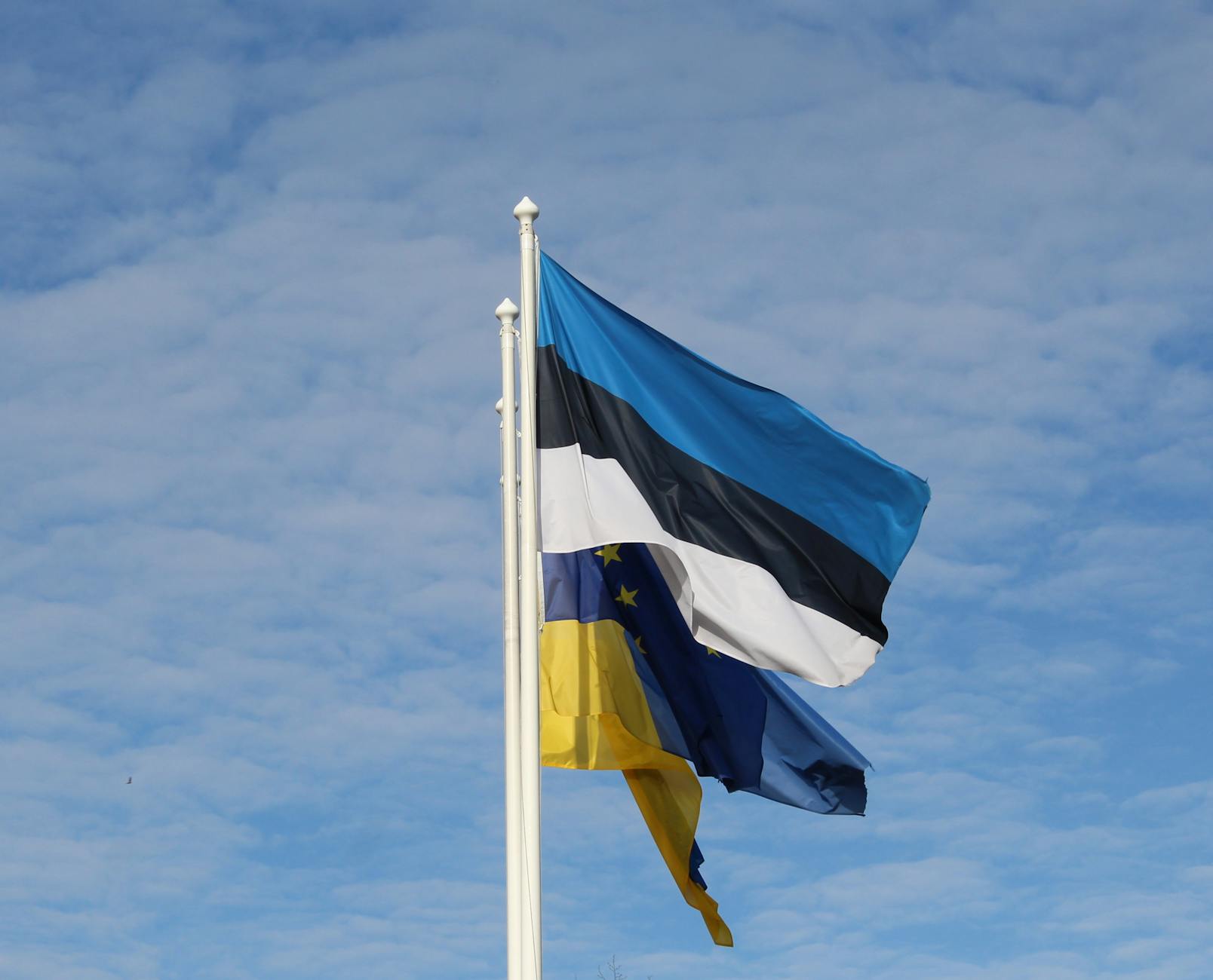 The Sovereignty Argument and Its Limits