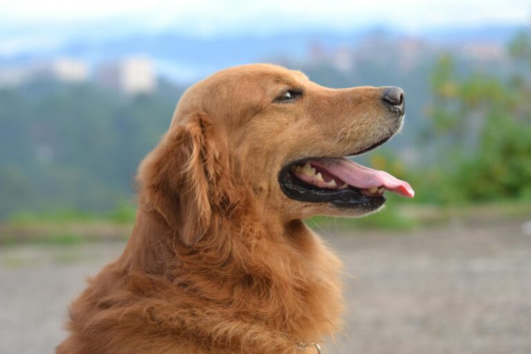 Trump's DOGE Eliminated 25,000 Federal Workers...317,000 Government Jobs Lost - Featured image