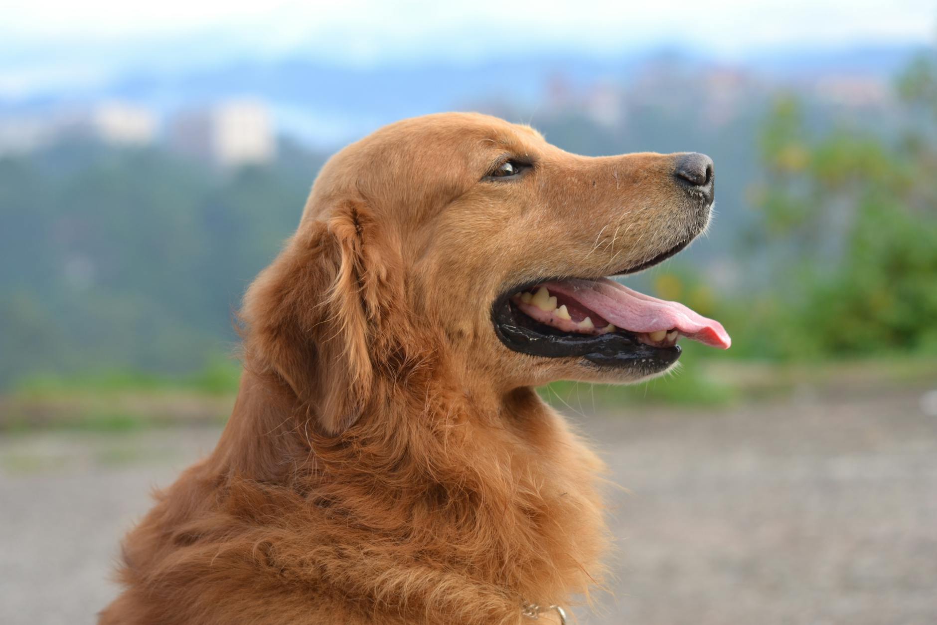 Trump's DOGE Eliminated 25,000 Federal Workers...317,000 Government Jobs Lost - Featured image