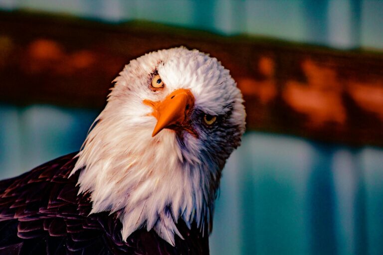 Trump Told Lawmakers "You Ought to Be Ashamed"...8 Claims Flagged Instantly - Featured image