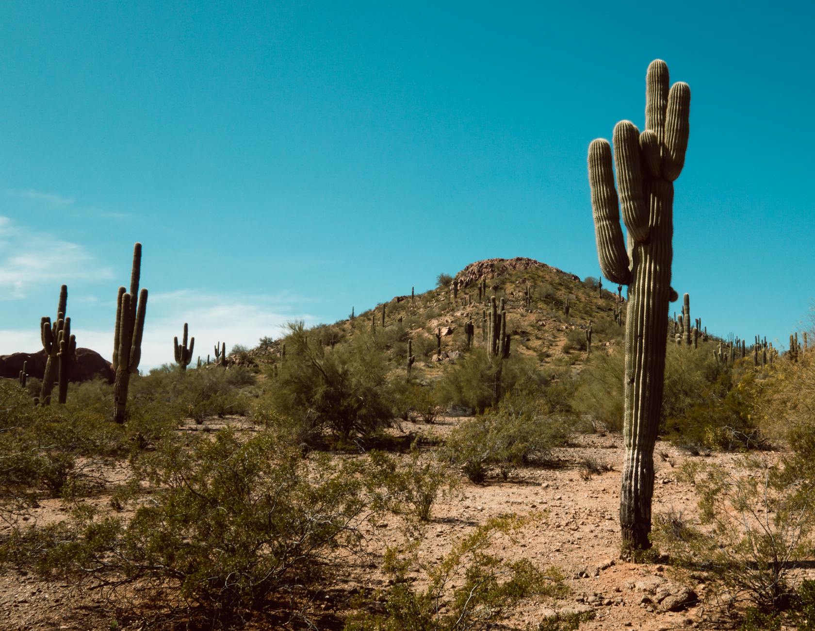 TSMC's Arizona Gambit — $165 Billion and Counting