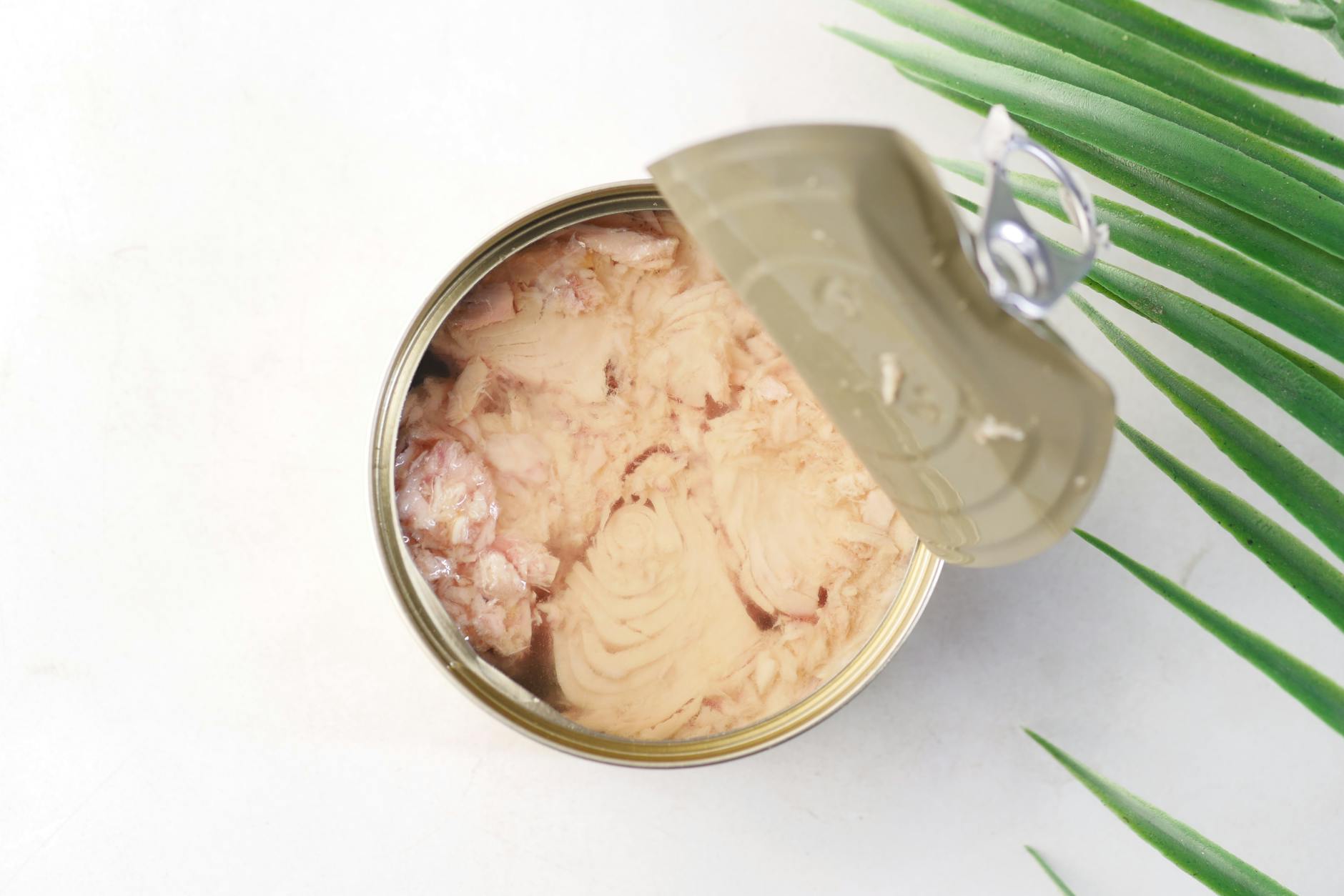 What Is the Packaged Seafood Tuna Price-Fixing Settlement and Who Gets Paid?