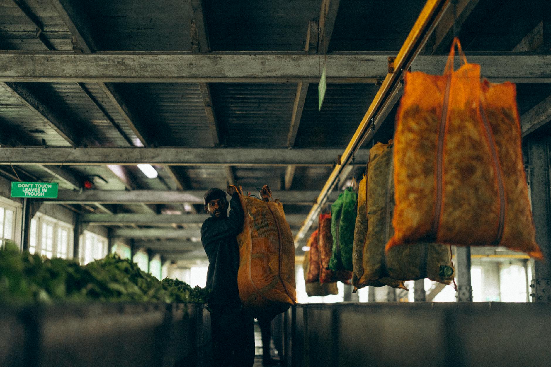 What This Means for Foreign Workers in Gulf Ports