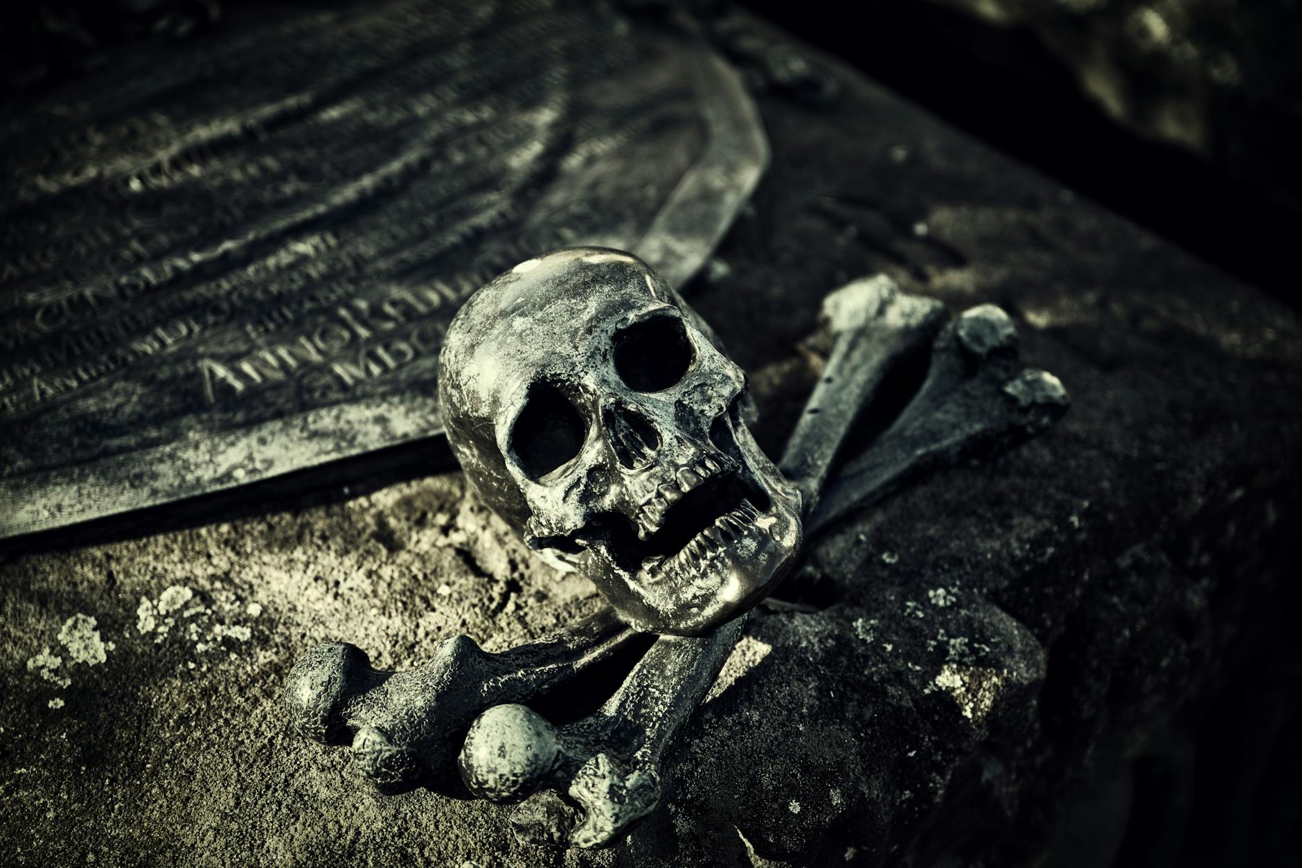 Why the Death Toll Numbers Diverge So Dramatically