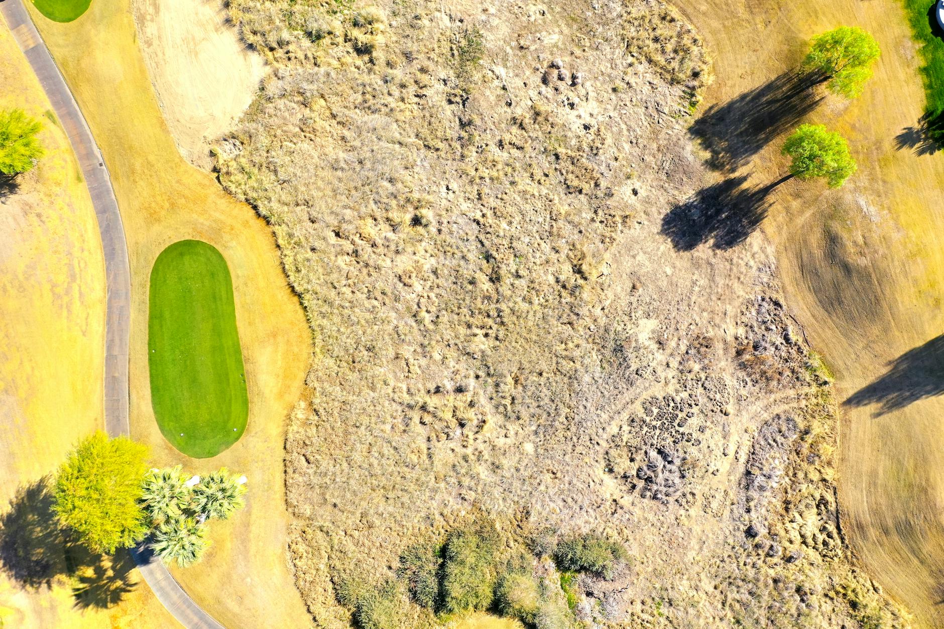 Environmental Enforcement and the Green Realignment Test