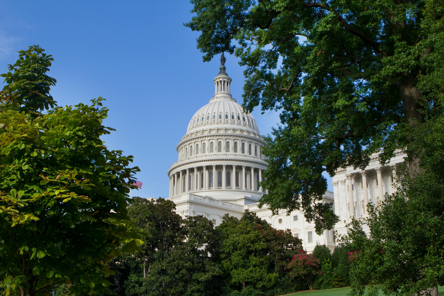 Institution-Building and Long-Term Movement Viability—Succession Planning