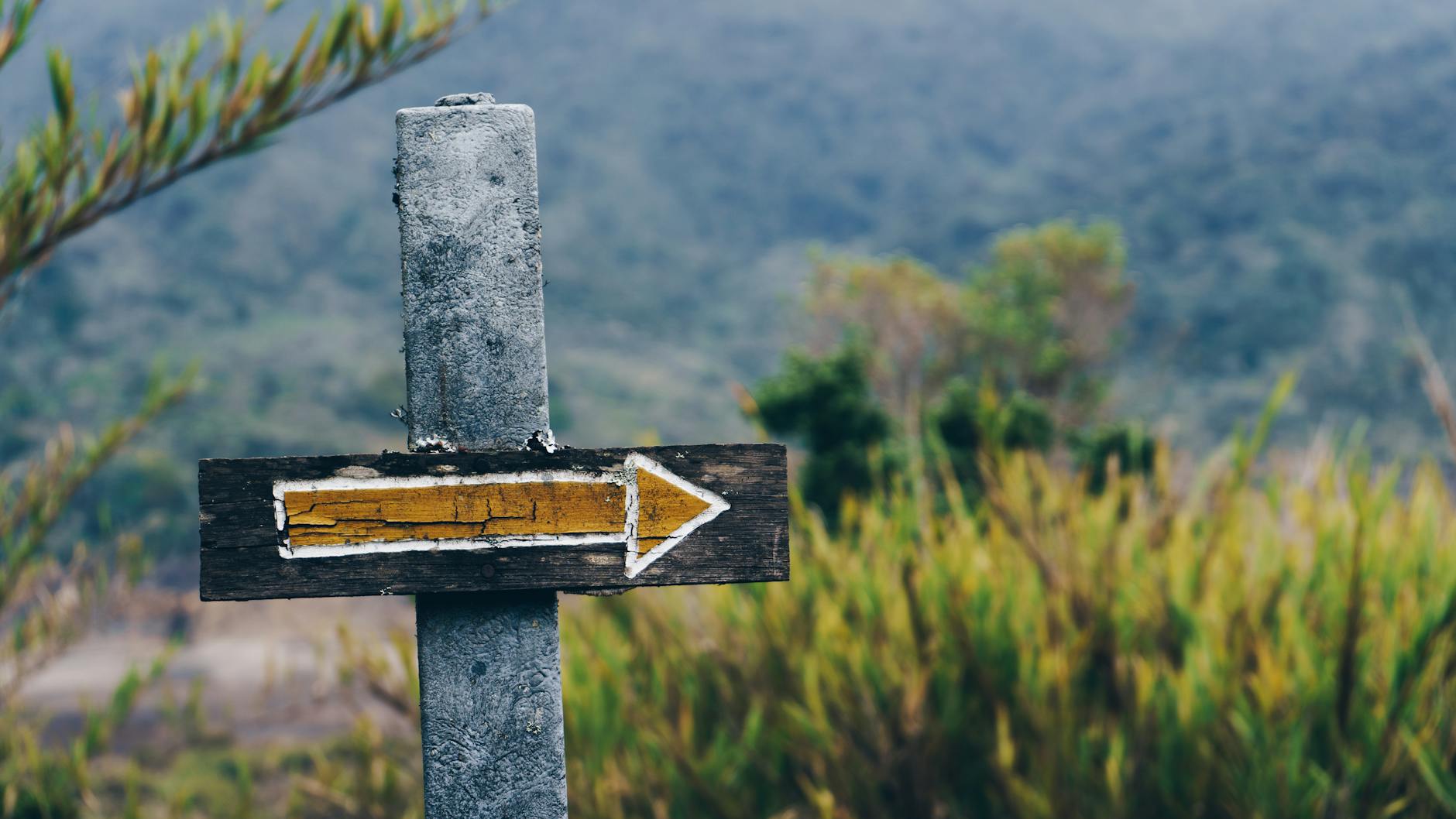 Religion's Direct Impact on Policy Implementation
