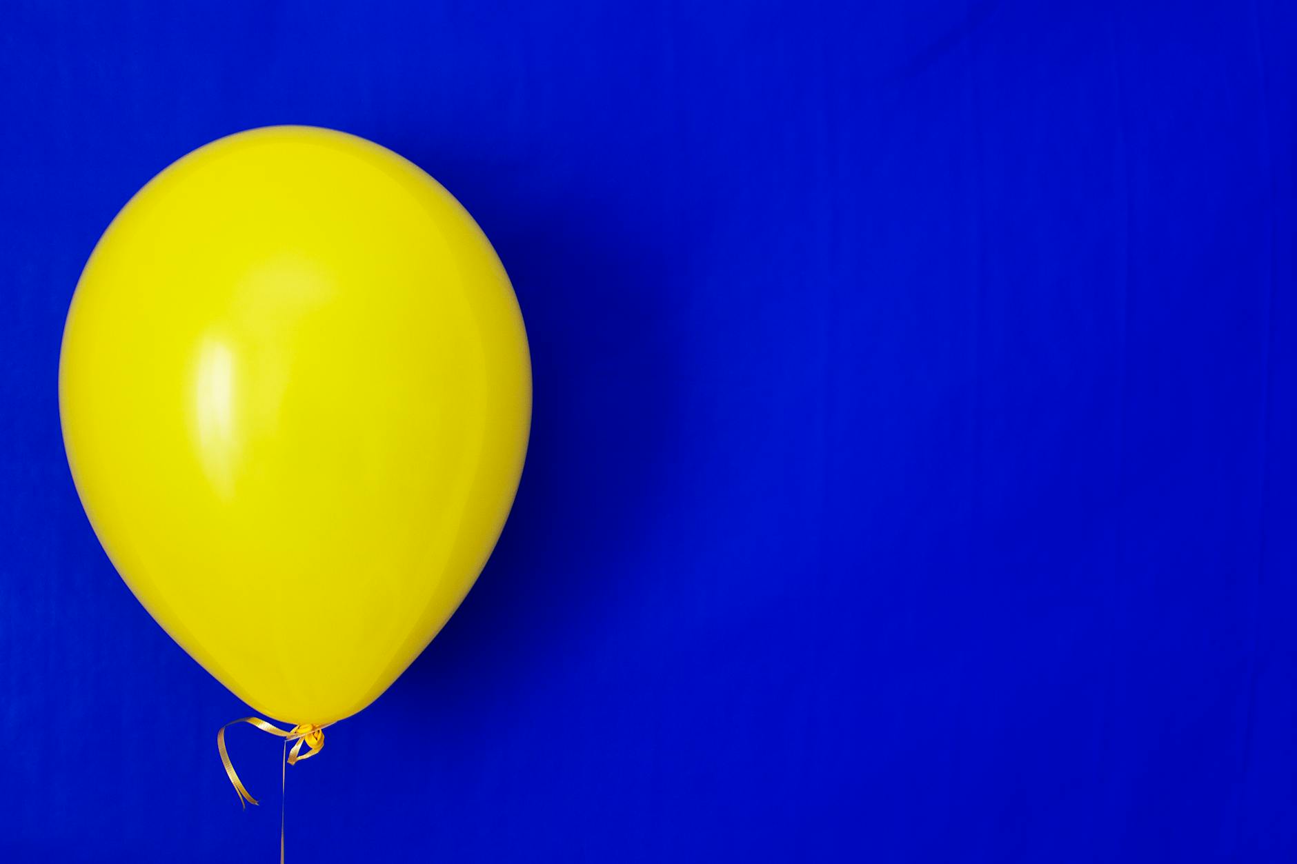 The 2024 Election as a Blueprint for Understanding Inflation's Electoral Power