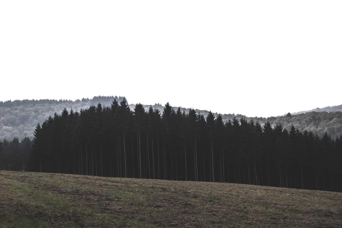 The Long-Term Consequences of Repeated Amplification of Viral Political Clips