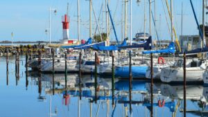 The Proposed Safe Harbor and What It Requires