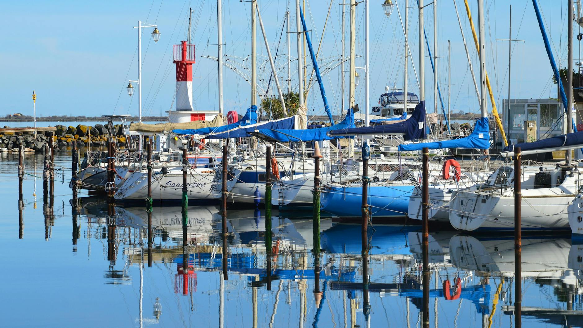 The Proposed Safe Harbor and What It Requires