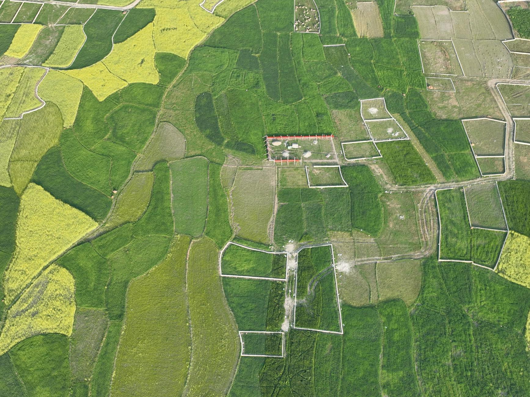 THE STATE PATCHWORK—FRAGMENTATION AS FAILURE