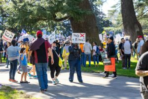 Which Voter Groups Will Be Most Influenced by Immigration in 2028?