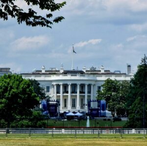 Famous Political Yard Display Becomes Center of Homicide Investigation - Featured image