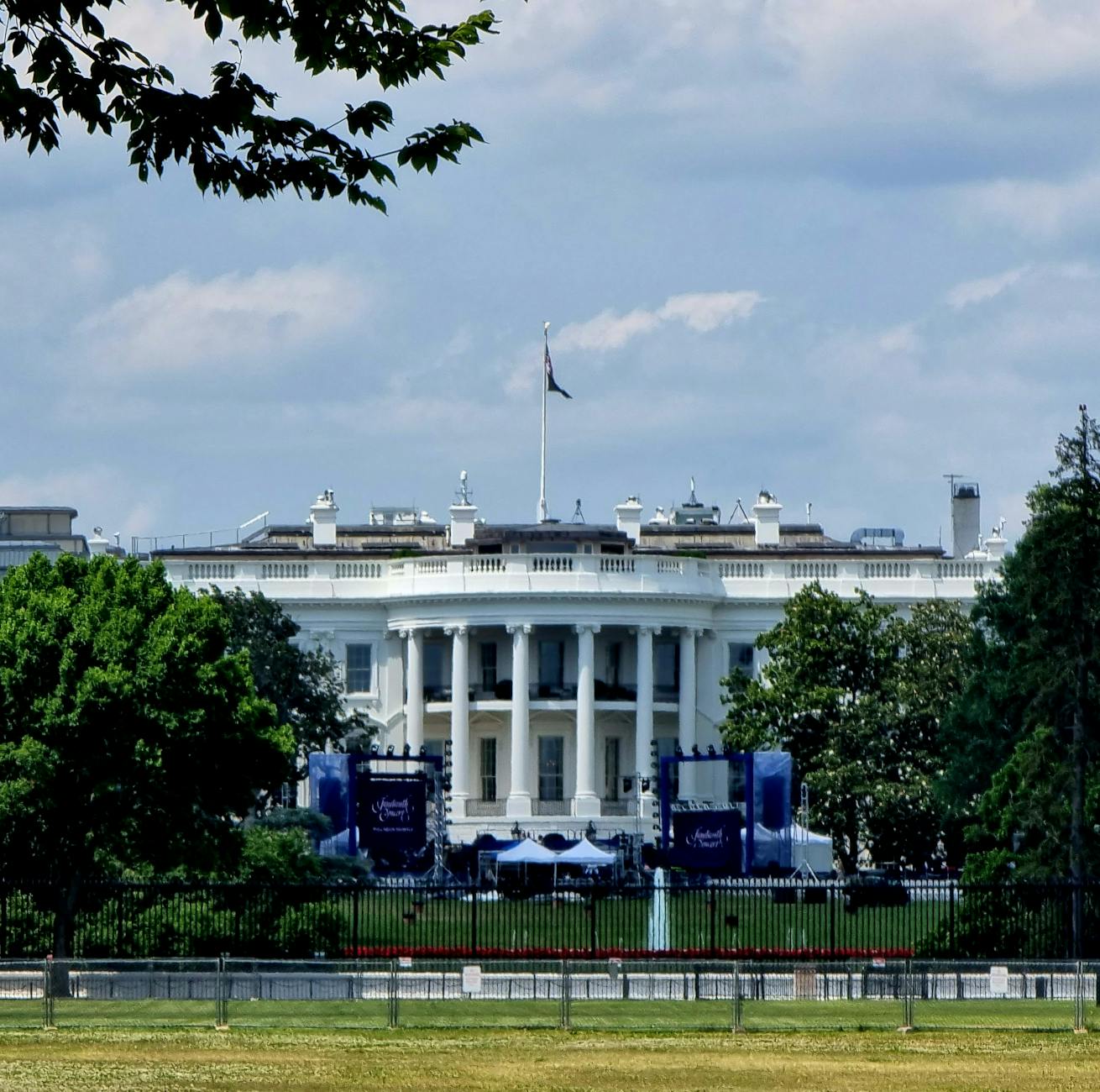 Famous Political Yard Display Becomes Center of Homicide Investigation - Featured image