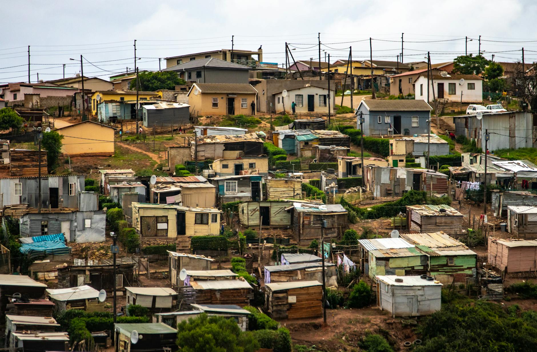 Healthcare Policy and Inequality as Root Causes