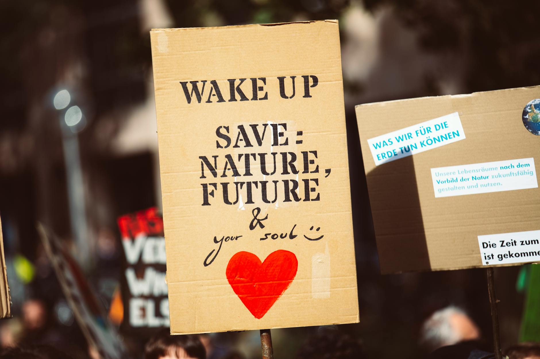 HOW CLIMATE PRIORITIES DIVIDE ACROSS PARTY LINES