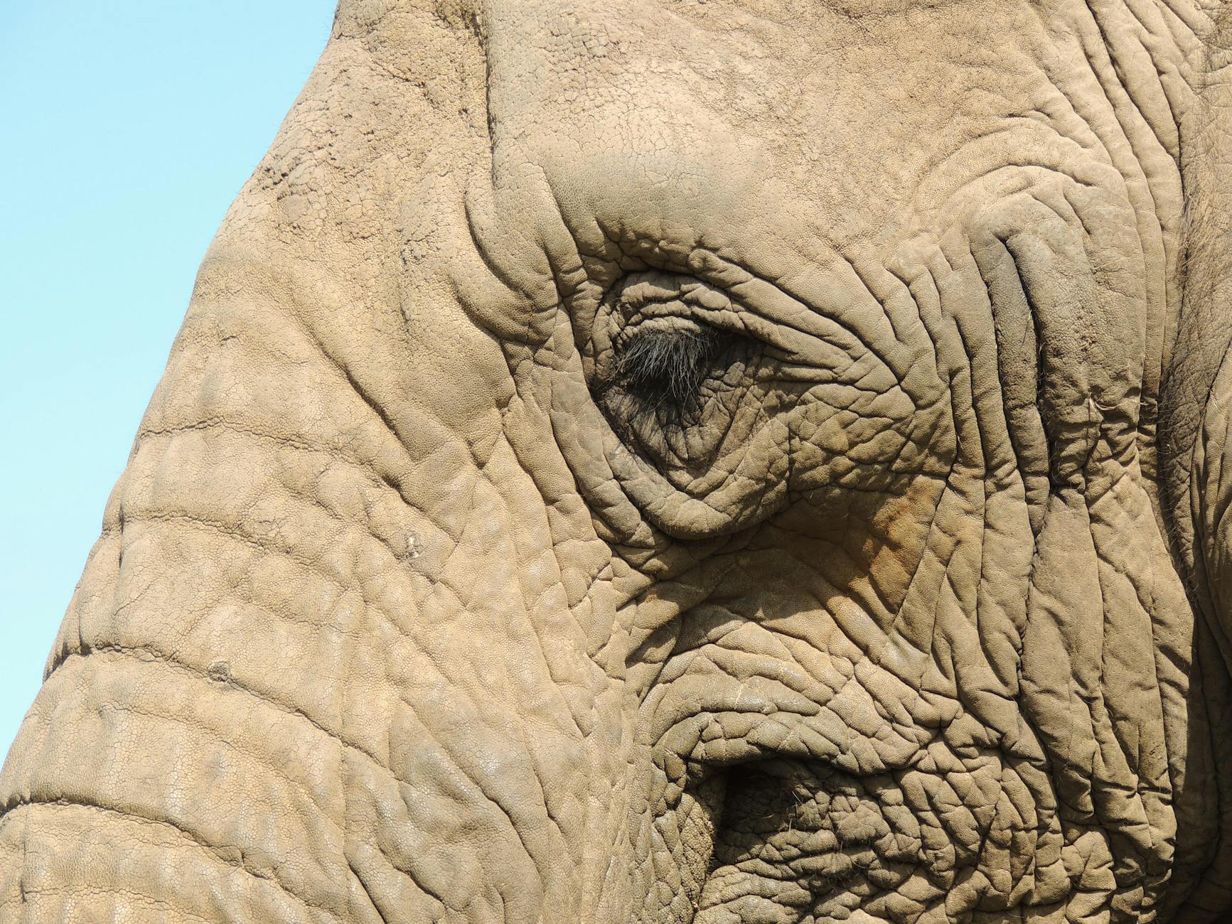 How Does the South Africa Retirement Visa Work and What Are the Basic Requirements?