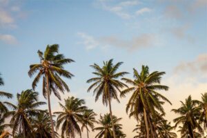 Paid Parental Leave in Dominican Republic vs the US: The Gap Is Bigger Than You Think - Featured image