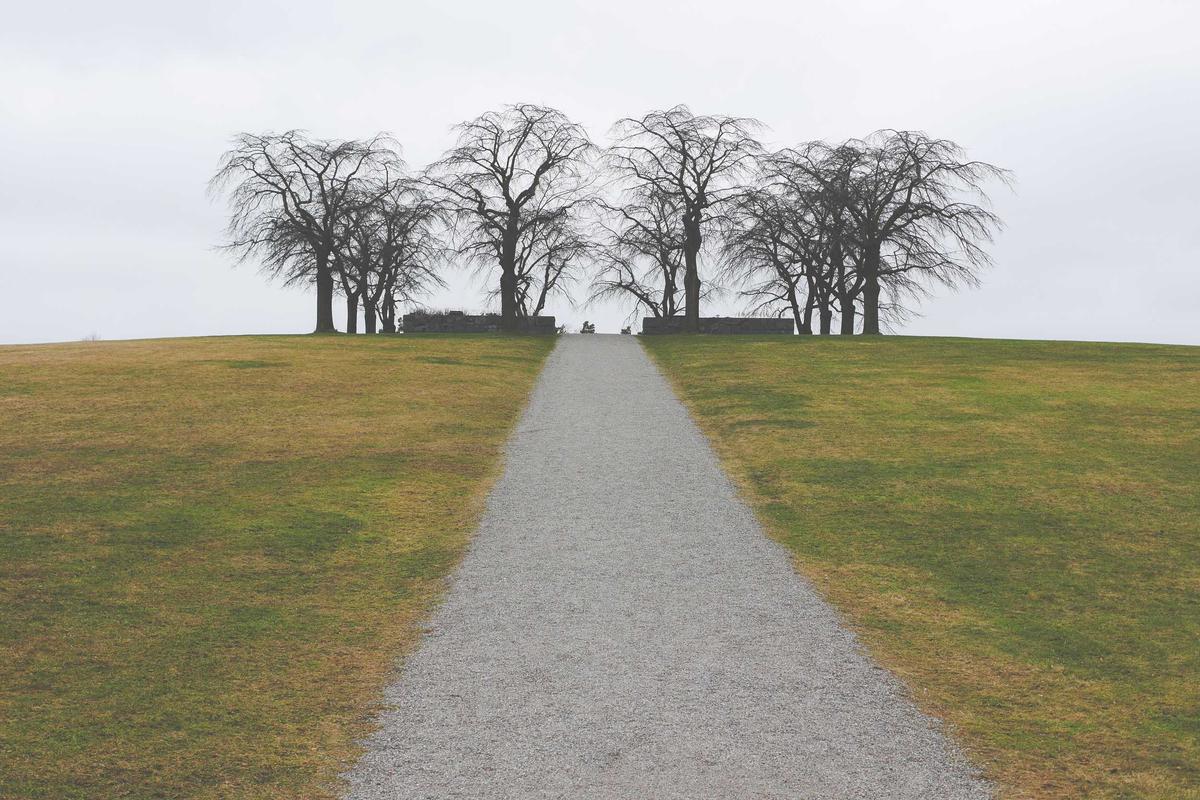 The Risk of Performative Expat Narratives Online