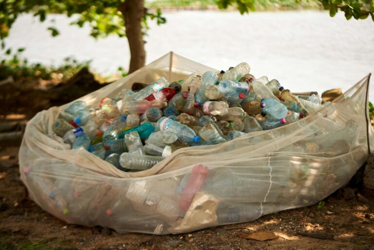 Tired of Plastic Pollution? Why Nicaragua Looks Like the Way Out - Featured image