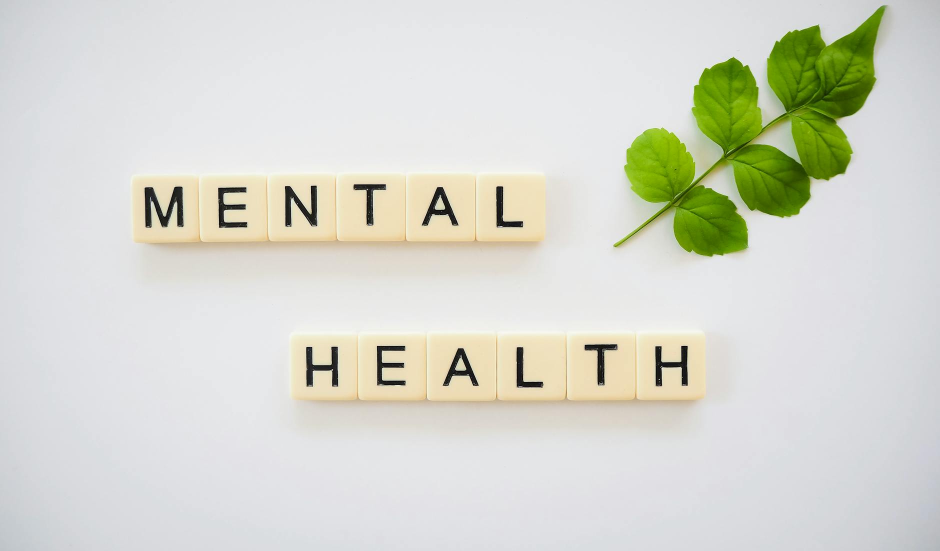 Veterans, Mental Health, and the Intersection of Political Conflict