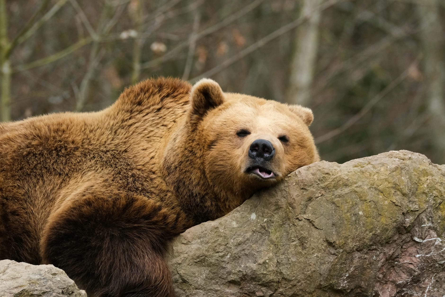 Who Bears the Brunt of Price Spikes?