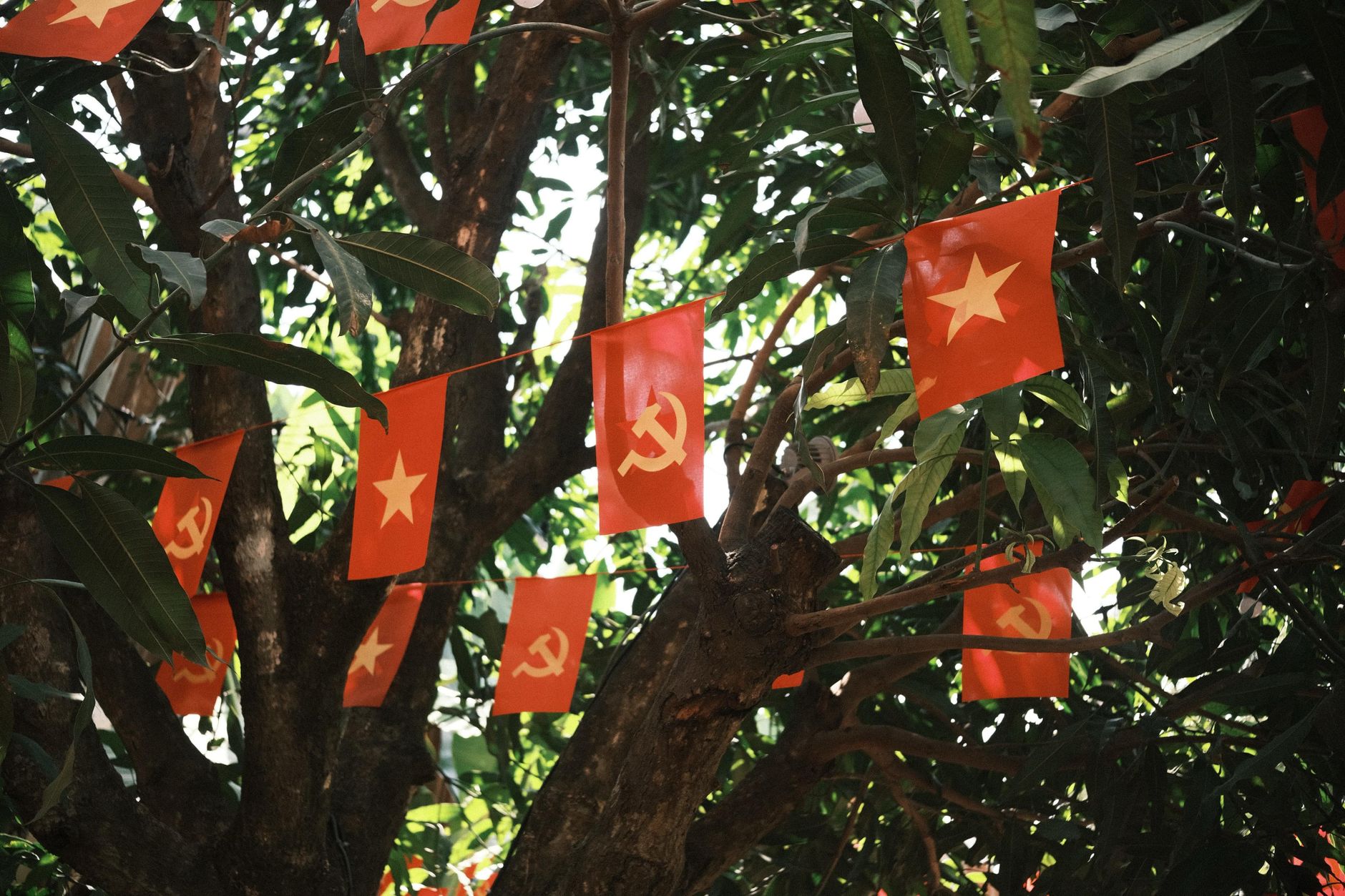 Communist accusations return as primary message in Trump's 2026 midterm campaign strategy - Featured image