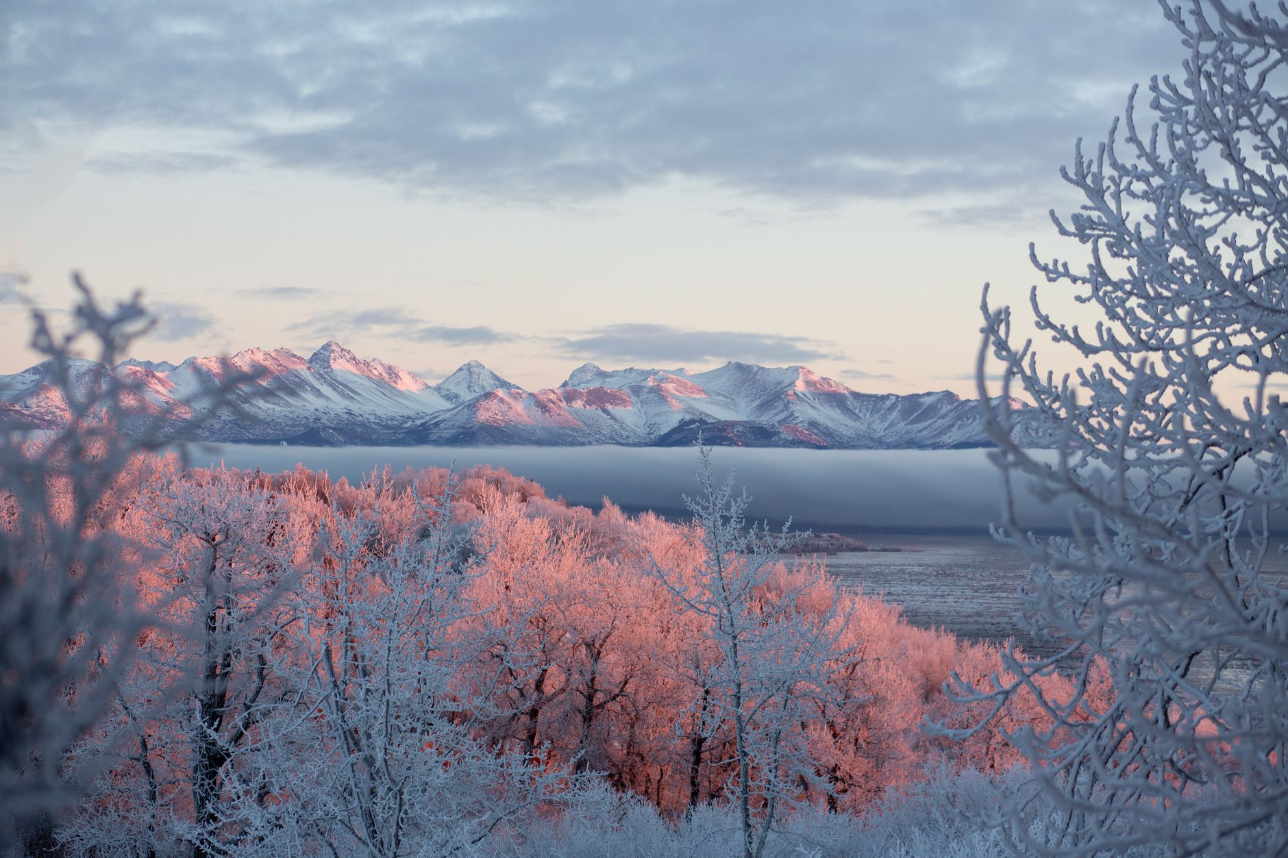 Serene winter landscape of snowy mountains and frost-covered trees at sunrise in Anchorage.