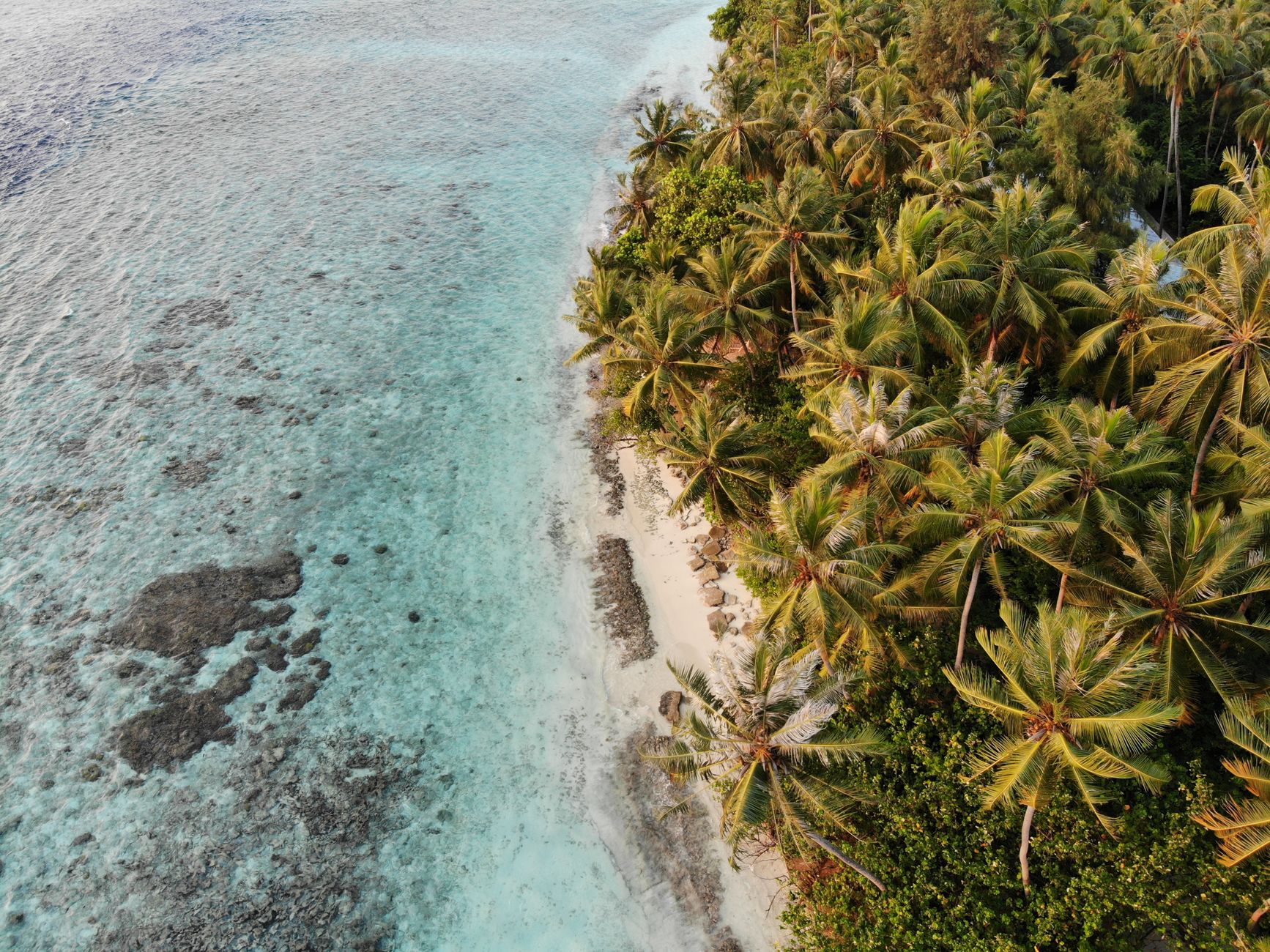 Aerial view of a tropical beach lined with palm trees and turquoise water.