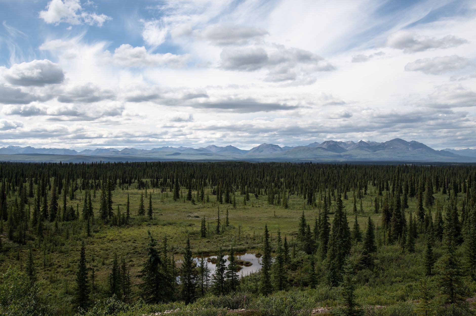 Expansive view of Alaskan mountain range and dense forest under a cloudy sky.