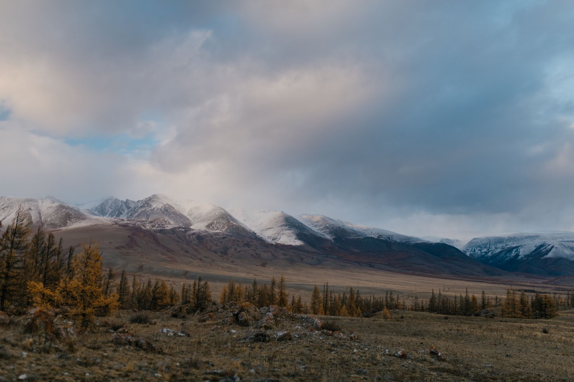 Picturesque view of dry slope with small trees near snowy mountains under cloudy sky