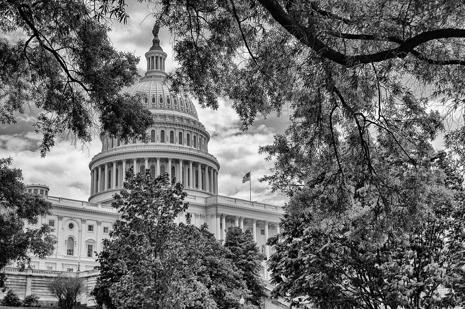 Black and white photo of the US Capitol surrounded by trees, highlighting its iconic architecture.
