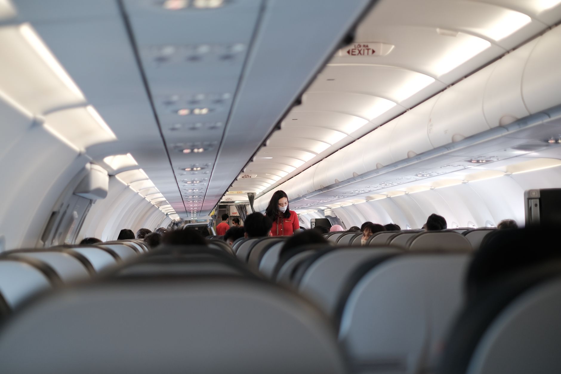 Why Is the Flight Attendants Union Questioning Trump's Washington Arch? - Featured image